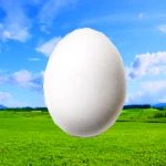 imitation eggs android application logo